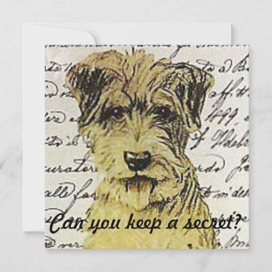 秘密を保持てる？ 招待状 (正面)