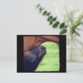 秘密を教えてあげよう ポストカード (スタンド正面)