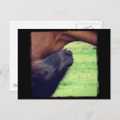 秘密を教えてあげよう ポストカード (正面/裏面)