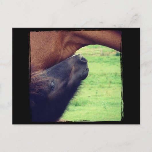 秘密を教えてあげよう ポストカード (正面)