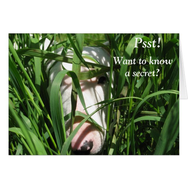 秘密を知りたいと思って下さい (正面横)