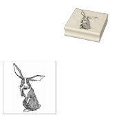 秘密を間抜け告げるウサギヴィンテージスタンプ ラバースタンプ (押印)