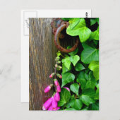 秘密ドア ポストカード (正面/裏面)