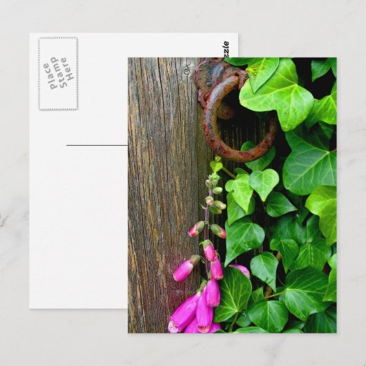 秘密ドア ポストカード (正面/裏面)