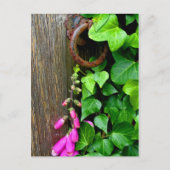 秘密ドア ポストカード (正面)