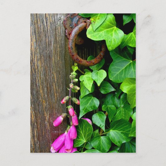 秘密ドア ポストカード (正面)