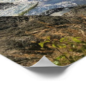 秘密ビーチ、サミュエル・H・ボードマン、オレゴン ポスター (角)