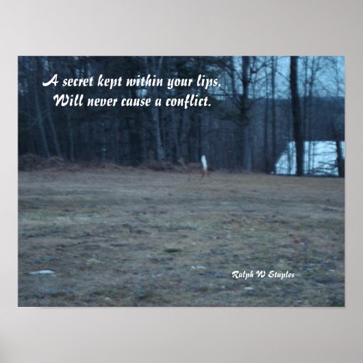 秘密保 ポスター (正面)