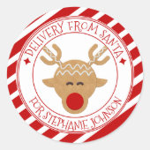 秘密配信型枠サンタクリスマストナカイ ラウンドシール (正面)