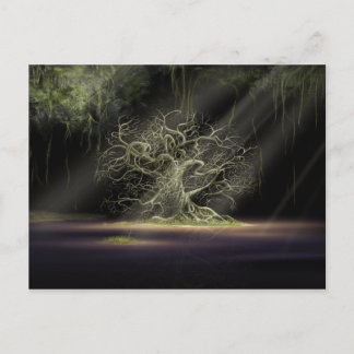 秘密1 ポストカード