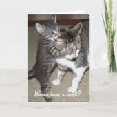 秘密 カード (正面)