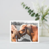 秘密 ポストカード (スタンド正面)