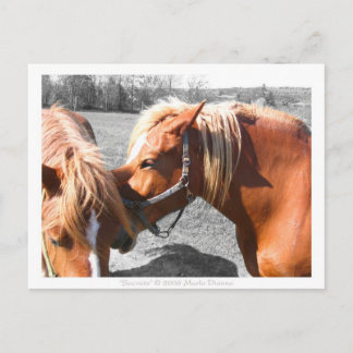 秘密 ポストカード