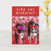 **秘密 & 照れ屋** のバレンタインに？ カード (黄色い花)