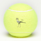 秘書の鳥の漫画イラストレーション テニスボール (裏面)