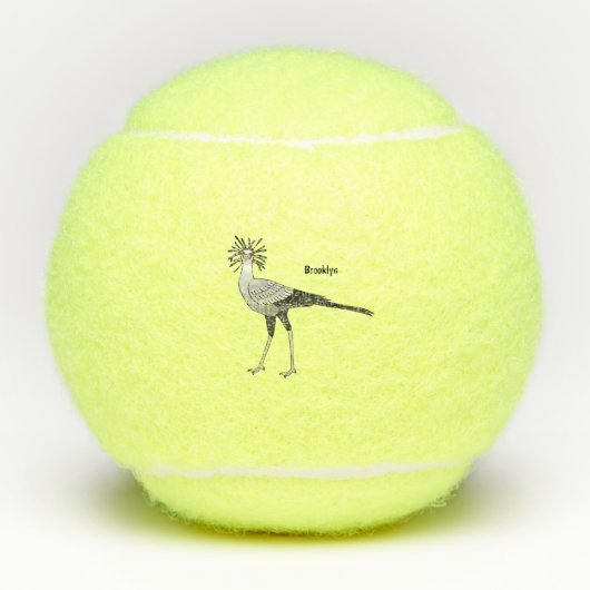 秘書の鳥の漫画イラストレーション テニスボール (正面)