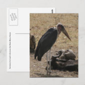 秘書の鳥立て ポストカード (正面/裏面)