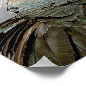 秘書の鳥 ポスター (角)