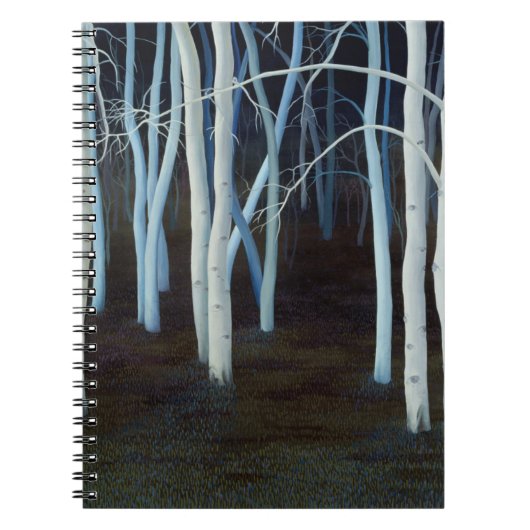 秘法2004年 ノートブック (正面)