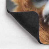 秦嶺山脈 マウスパッド (コーナー)