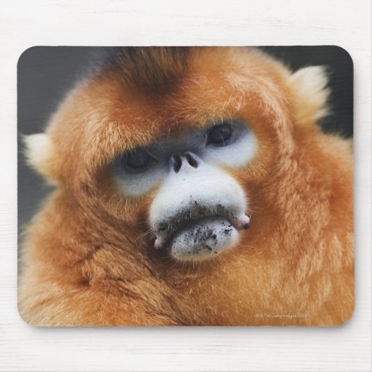 秦嶺山脈 マウスパッド (正面)