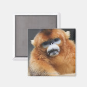 秦嶺山脈 マグネット (正面/裏面)