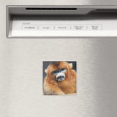 秦嶺山脈 マグネット (インサイチュ (食洗機))