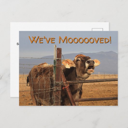 移おもしろい動 案内ポストカード (正面/裏面)