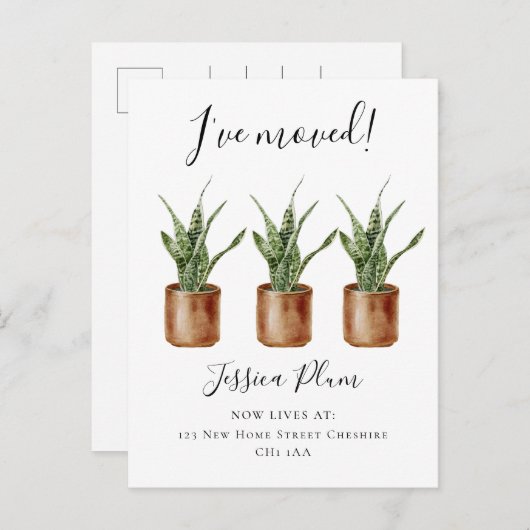 移エレガント動した住所の変更 案内ポストカード (正面/裏面)