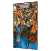 移住のマダラチョウは葉にしがみつきます クリップボード (左)