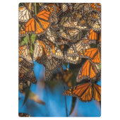 移住のマダラチョウは葉にしがみつきます クリップボード (裏面)