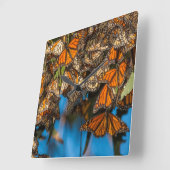 移住のマダラチョウは葉にしがみつきます スクエア壁時計 (傾斜)