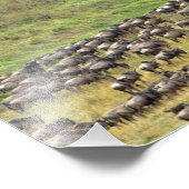 移住の間に大規模な野生動物の群れ フォトプリント            (角)