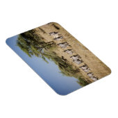 移住ゼブラ，タンザニア マグネット (右側)