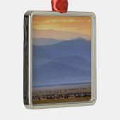 移住中のWildebeest、Connochaetes メタルオーナメント (右)