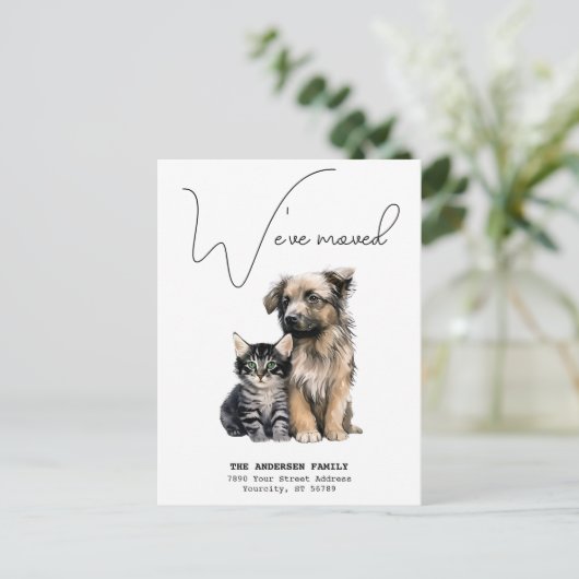 移動した新しいアドレスCat犬の水の色を移動 案内ポストカード (スタンド正面)