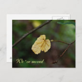 移動した黄色の葉はがき 案内ポストカード (正面/裏面)