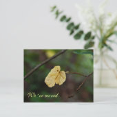 移動した黄色の葉はがき 案内ポストカード (スタンド正面)