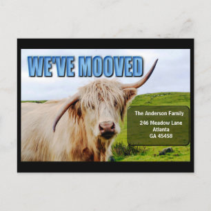 移動した Wonky Cow Moving Announcement Card ポストカード