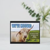 移動した | Wonky Cow Moving Announcement Card ポストカード (スタンド正面)