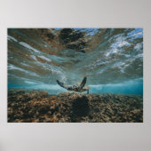 移動している亀 ポスター (正面)