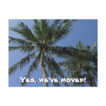 移動しました – Palm Trees onポストカード
