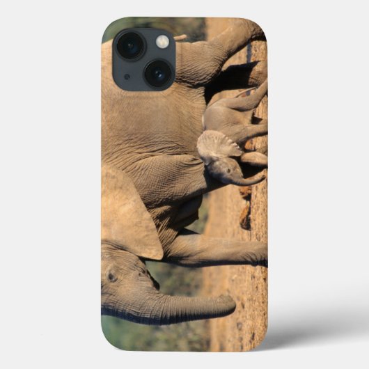 移動するアフリカゾウの母と子 Case-Mate iPhoneケース (裏面)