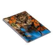 移動する(昆虫)オオカバマダラ、モナーク蝶が葉付着する ノートブック (右側)