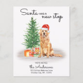 移動ゴールデンレトリバードッグホリディムービングカード (正面)