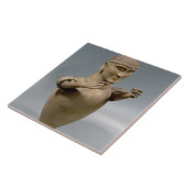 移動可能な腕(粘土)を搭載するカノプス壺 タイル (側面)