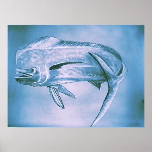 移動時のイルカ ポスター (正面)