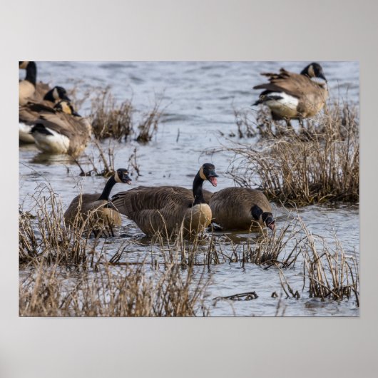 移動 ポスター (正面)