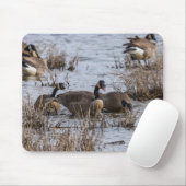 移動 マウスパッド (マウス)