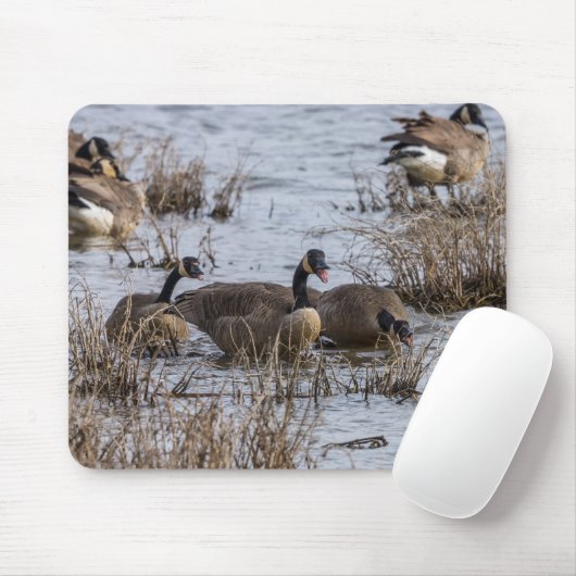 移動 マウスパッド (マウス)